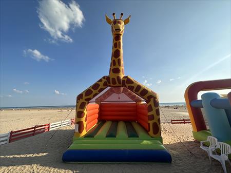CHÂTEAU GONFLABLE GIRAFE
